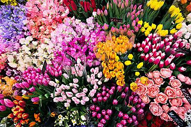 《Outriders》可能还没有让SE回本